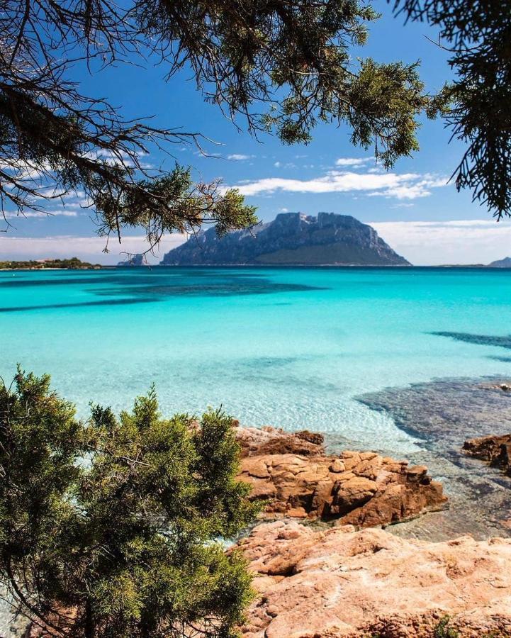 Porto Istana Beach House Olbia Exterior photo